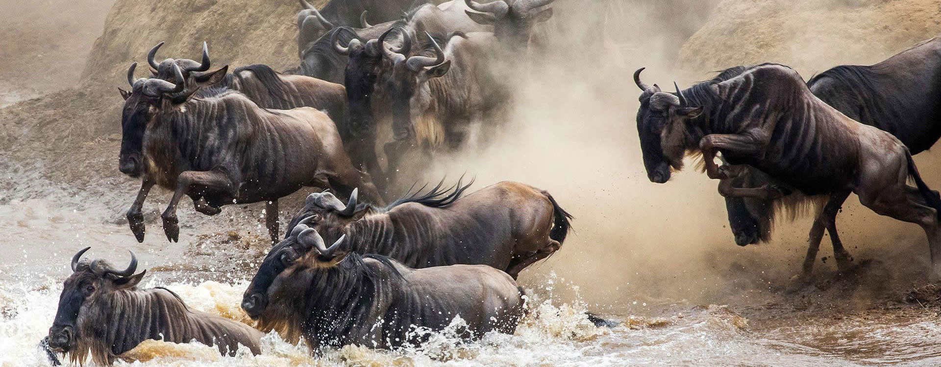 7 Days Great Wildebeest Migration Safari   