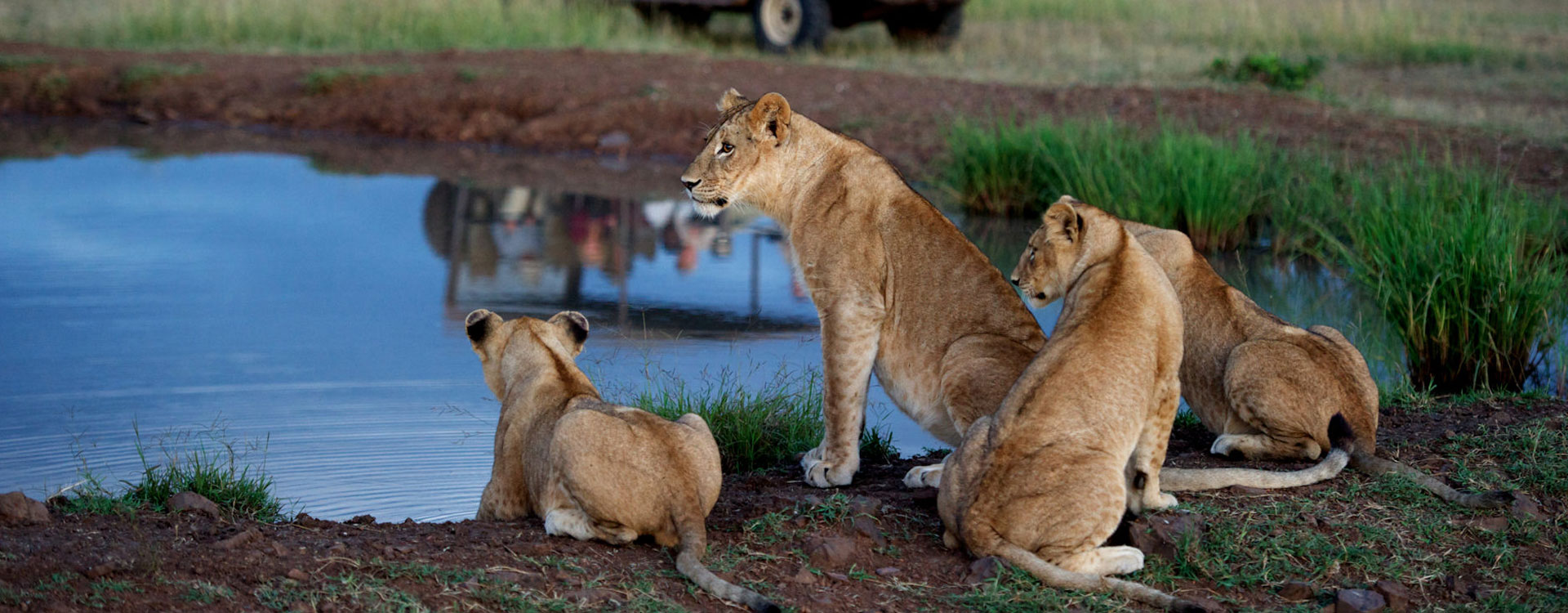  Tanzania Safari FAQS