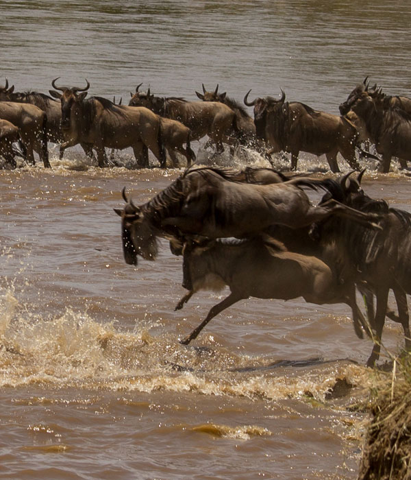 7 Days Great Wildebeest Migration Safari