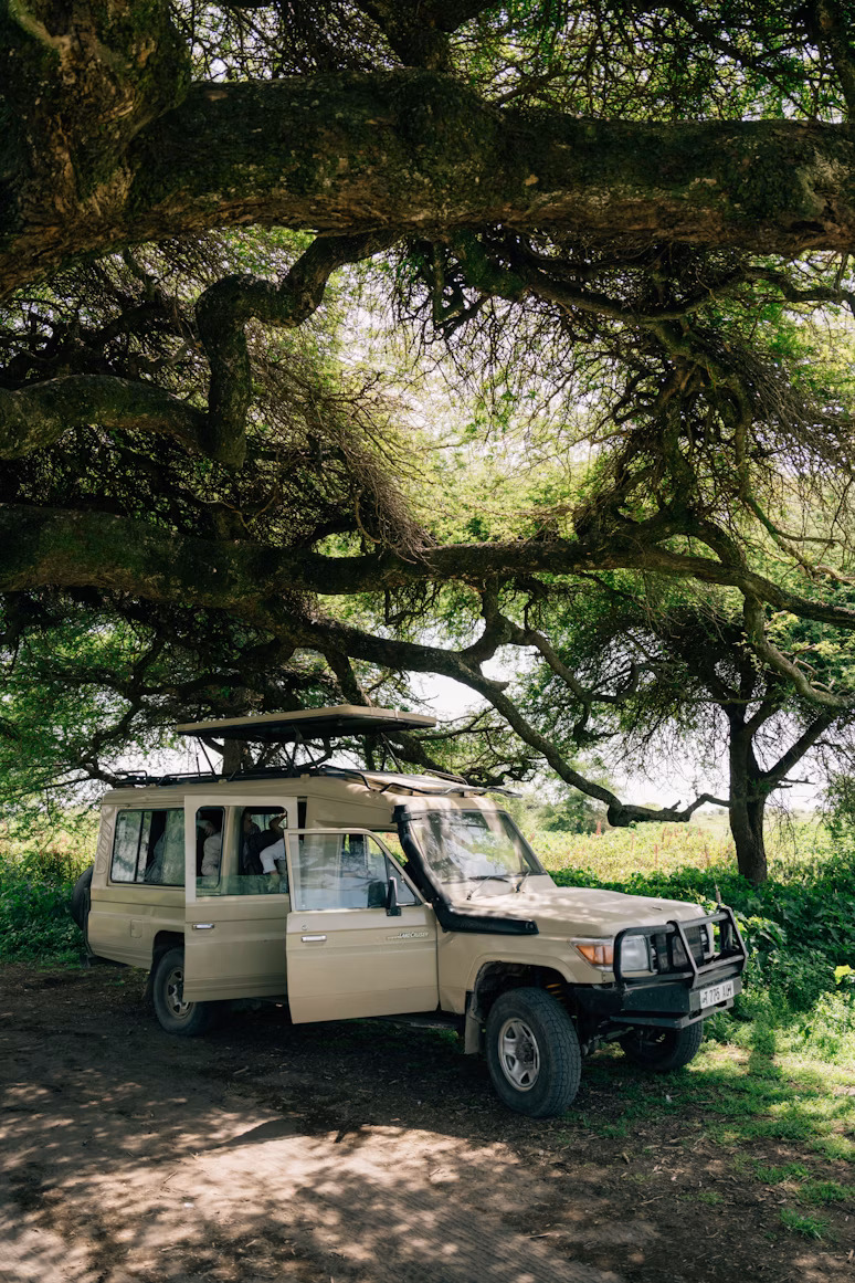 Custom safari vehicle with thatched roof at sunset