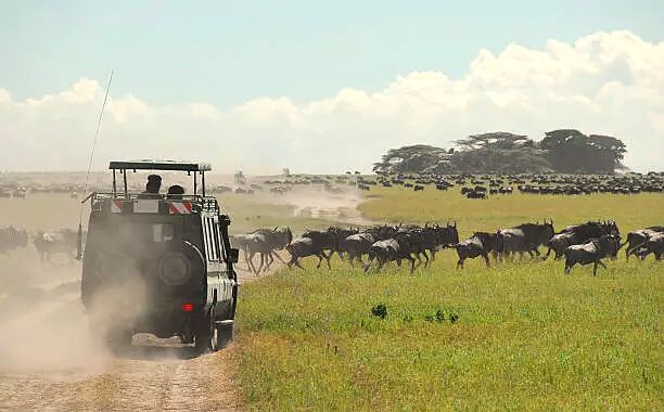 Private safari vehicle beside a Cessna at a Tanzanian bush airstrip