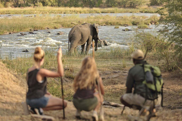 8 Days Tanzania Active Walking Safari