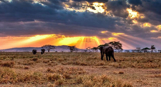 Mkomazi Mountain National Park